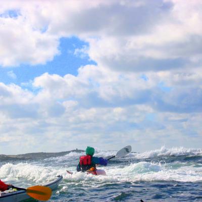 Aavameri Sea Kayaking 3902