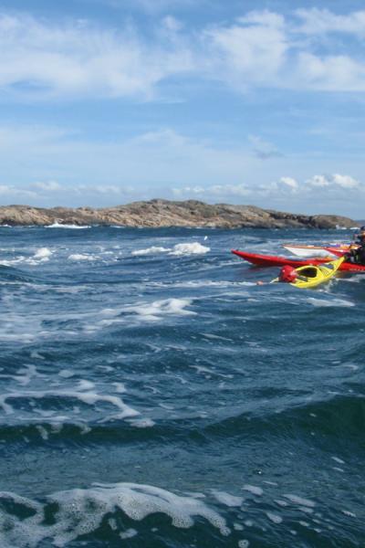 Aavameri Sea Kayaking 3905