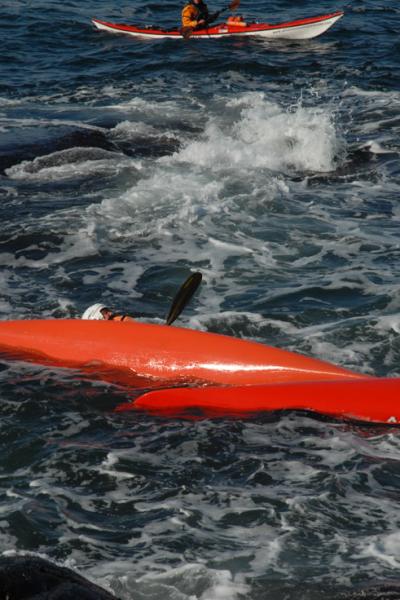 Aavameri Sea Kayaking 3909